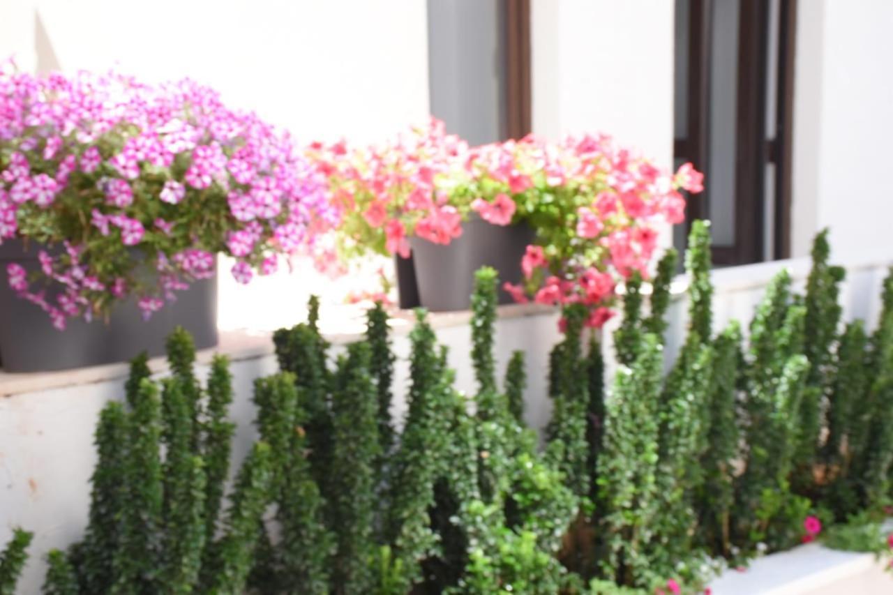 Apartments Petar Budva Kültér fotó
